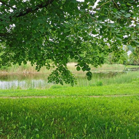 Upes Apartamentai Biržai Buitenkant foto