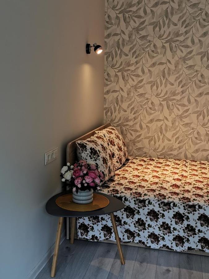 Upes Apartamentai Biržai Buitenkant foto