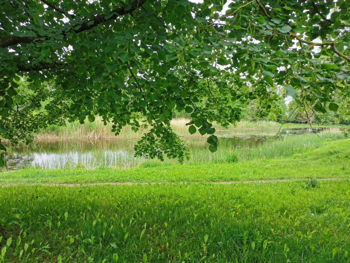 Upes Apartamentai Biržai Buitenkant foto