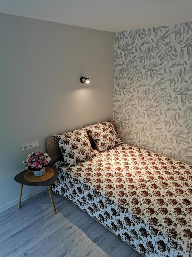 Upes Apartamentai Biržai Buitenkant foto