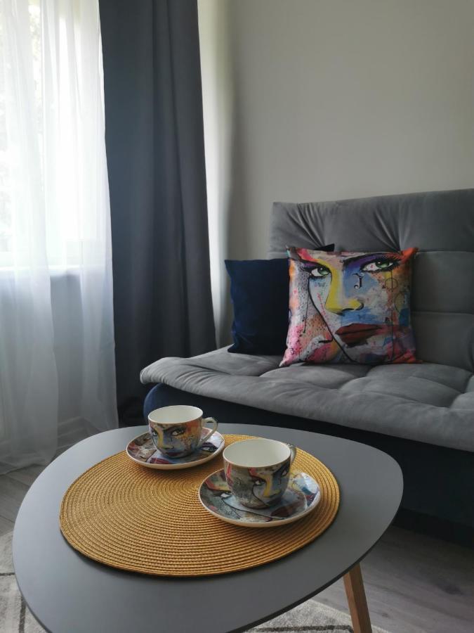 Upes Apartamentai Biržai Buitenkant foto