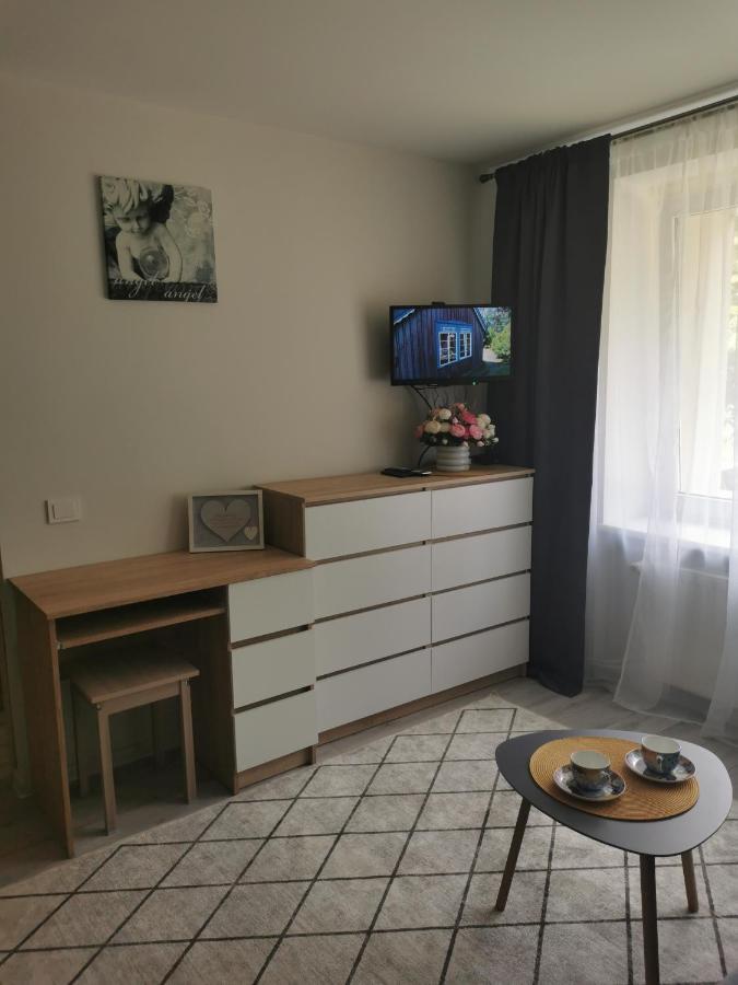 Upes Apartamentai Biržai Buitenkant foto