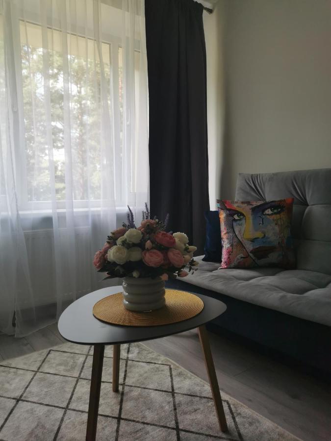 Upes Apartamentai Biržai Buitenkant foto